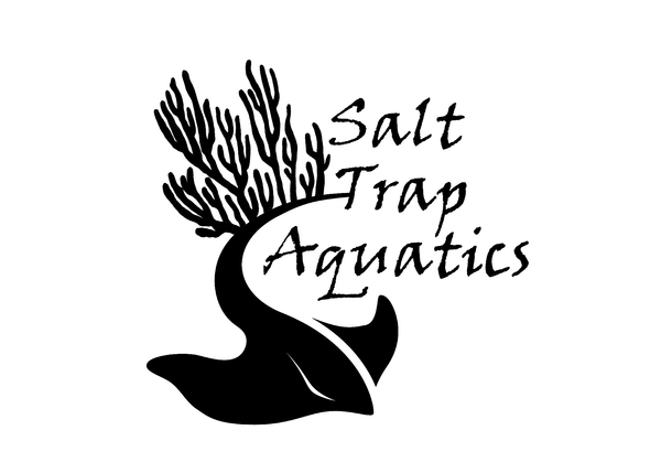 Salt Trap Aquatics
